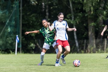 Bild 329 - wBJ Hamburger SV - VfL Wolfsburg : Ergebnis: 5:1